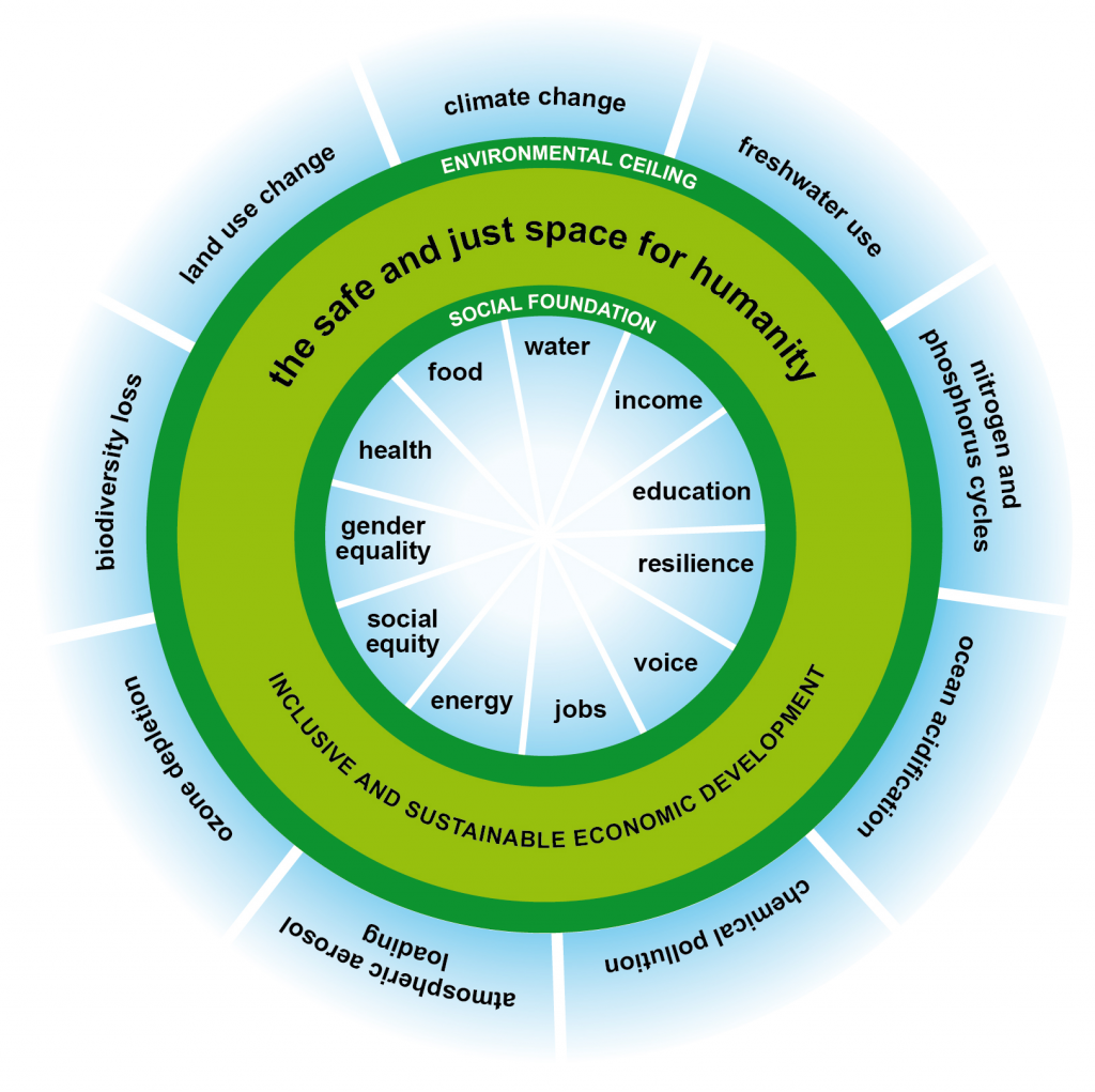 Doughnut economy model